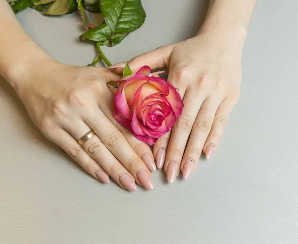 Mão com unhas artificiais francesas manicured e rosa rosa flor — Fotografia de Stock