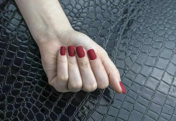 Elegante manicure matte vermelho feminino elegante, forma quadrada — Fotografia de Stock