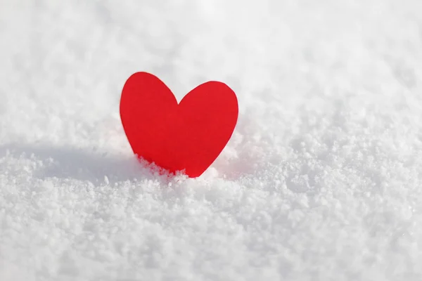 Single red heart on the snow, love concept