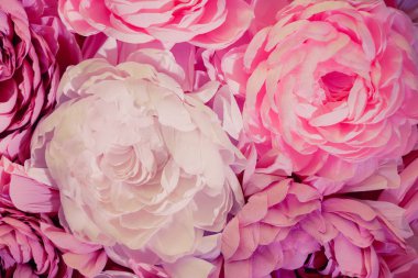  Güzel bahar çiçek yaprakları