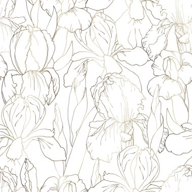 Iris kontur seamless modeli