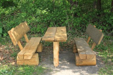 Banklar ve doğa ormanın içinde bir tablo