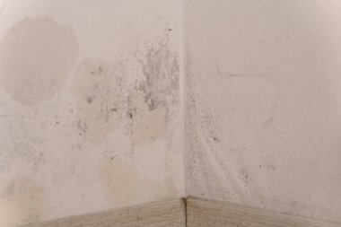 Duvarda küf ve ıslak duvarlar..