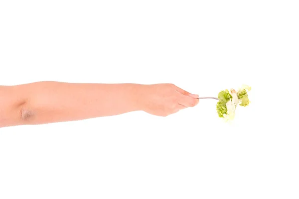 Mano Sosteniendo Verduras Aisladas Fondo Blanco — Foto de Stock