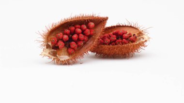 Annatto ağacı (Bixa orellana L.) Tayland ilaç ve tıbbi özellikleri. 