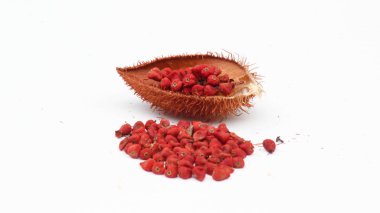 Annatto ağacı (Bixa orellana L.) Tayland ilaç ve tıbbi özellikleri. 