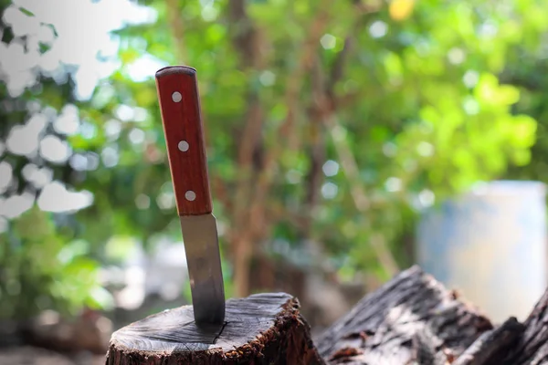 刀与木柄 卡在一块树干 — 图库照片