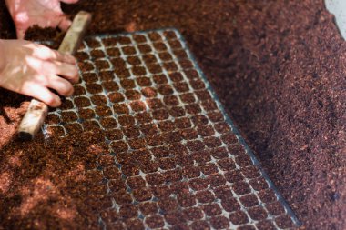 tohum çimlenme için tepsiler, zemin hindistan cevizi kabuğu ile birlikte tepsileri doldurmak için