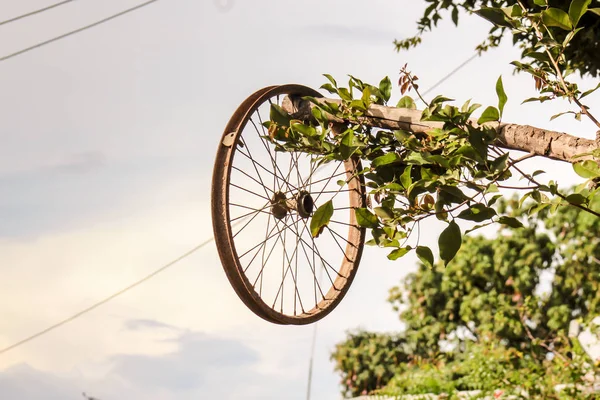 rusty bicycle wheel without rubber, Vintage bike wheel