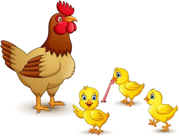 Familia Pollos Sobre Fondo Blanco — Vector de stock