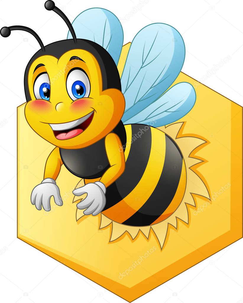 Bee mascot with two different sides. vector illustration