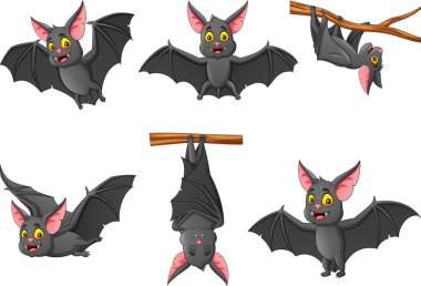 Set of cartoon bat with different expressions. vector illustration clipart