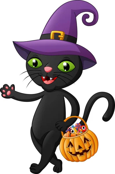 Halloween Cat Cartoon Bring Pumpkin Vector Illustration — Stock Vector