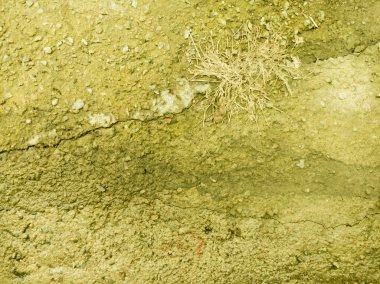 Güzel, Soyut, parlak, renkli bir arka plan ve doku olarak sıva duvar yüzeyine. İçin metin alanı ile stilize bir yüzey olarak kullanmak mümkün