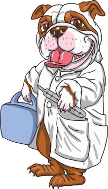 köpek doktor termometre ile beyaz bornoz
