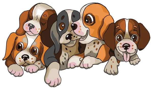 Cachorros Felices Juegan Mordida — Vector de stock