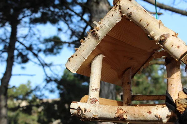 Primavera Sta Arrivando Gli Uccelli Costruiscono Case Dove Possono Mangiare — Foto Stock