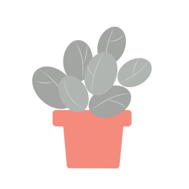 Ev bitkisinin güzel resmi