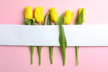 Açık renkli, üstten görünüm üzerinde boş kart ile güzel lale. Metin için yer