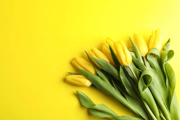 Beautiful Bouquet Yellow Tulips Color Background Top View Space Text — Stock Photo, Image