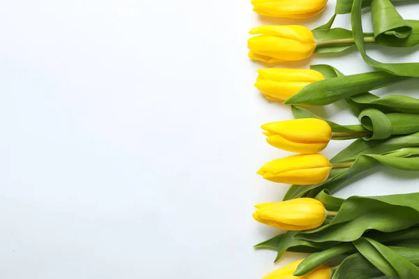 Composición Con Hermosos Tulipanes Amarillos Sobre Fondo Claro Espacio Para — Foto de Stock