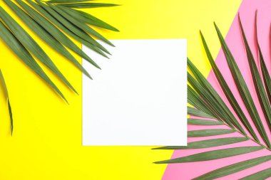 Renk arka plan, metin için yer üzerinde güzel tropikal palmiye yaprakları