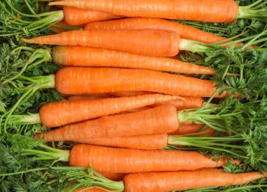 Arka plan, metin için yer olarak olgun taze havuç