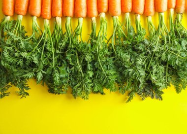 Sarı arka plan, metin için yer üzerinde olgunlaşmış havuç