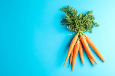 Mavi arka plan, metin için yer üzerinde olgunlaşmış havuç