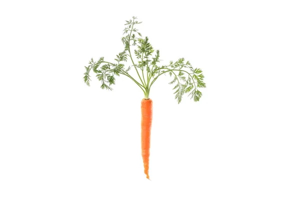 Ripe fresh carrot isolated on white background — Stock Photo, Image