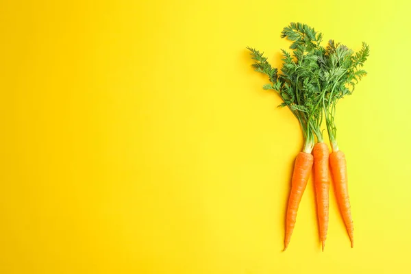 Zanahorias maduras sobre fondo amarillo, espacio para texto — Foto de Stock