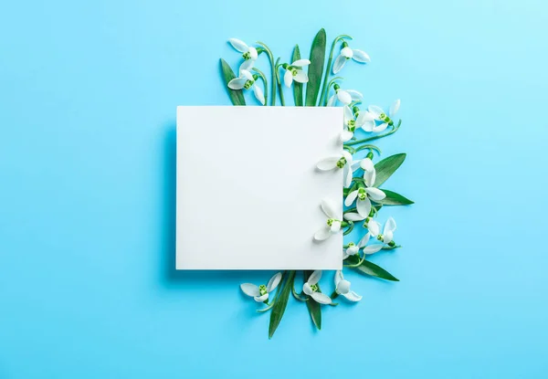 Flores de la gota de nieve y cuadrado blanco sobre fondo de color, espacio para — Foto de Stock
