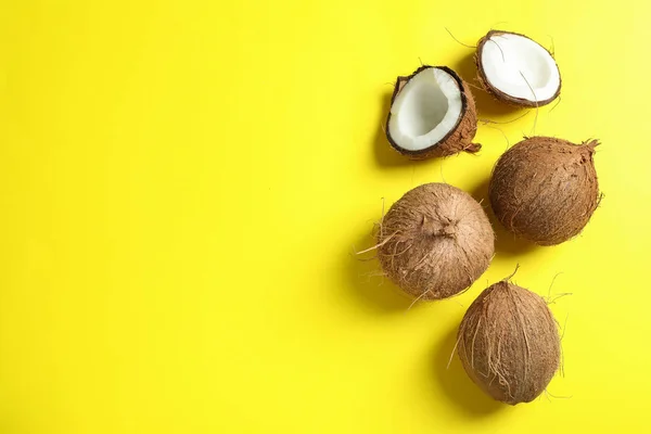 Тропические кокосы на цветном фоне, пространство для текста — стоковое фото