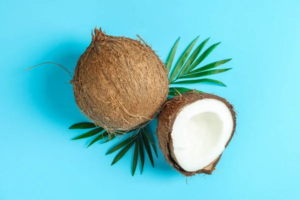 Dois coco um dos quais dividido com ramo de palma na cor backgro — Fotografia de Stock