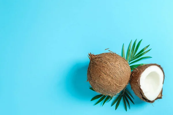 Dois coco um dos quais dividido com ramo de palma na cor backgro — Fotografia de Stock