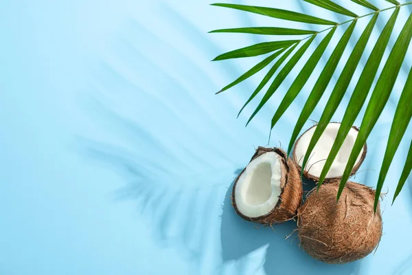 Dos de coco uno de los cuales se dividió con rama de palma en color backgro — Foto de Stock