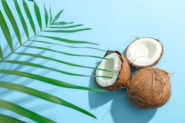 stock image Two coconut one of which split with palm branch on color backgro