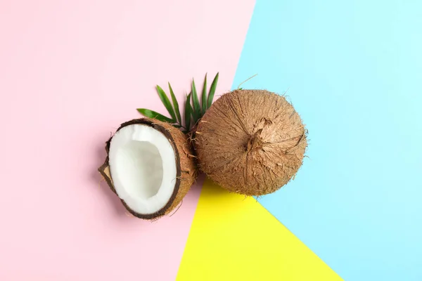 Deux noix de coco dont une fendue avec une branche de palmier sur fond de couleur — Photo