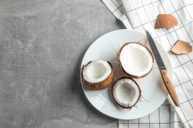 Gri arka plan, metin için yer üzerinde tropikal Hindistan cevizi ile plaka