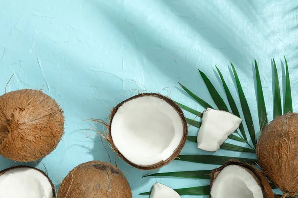 Kokosové ořechy tropické palmové ratolesti na barvu pozadí, prostor — Stock fotografie