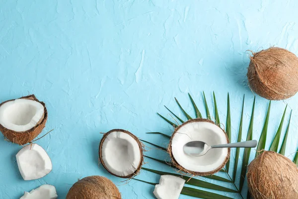 Cocos tropicais com ramo de palma sobre fundo de cor, espaço fo — Fotografia de Stock