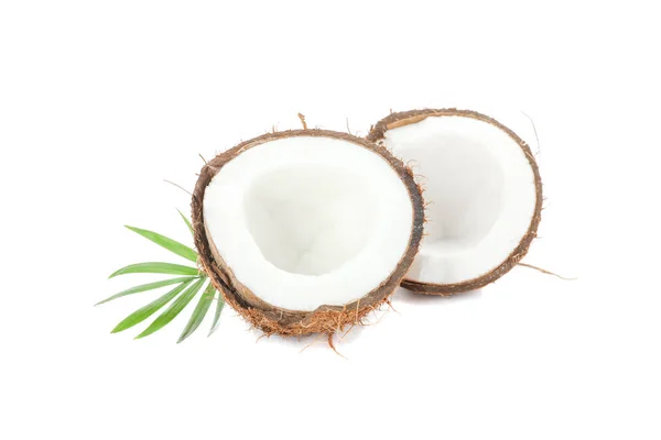 Coco tropical partido aislado sobre fondo blanco — Foto de Stock