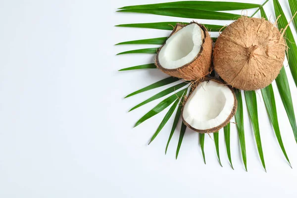 Deux noix de coco dont une fendue avec une branche de palmier sur fond blanc — Photo