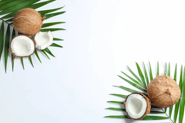Dos coco con rama de palma sobre fondo blanco — Foto de Stock