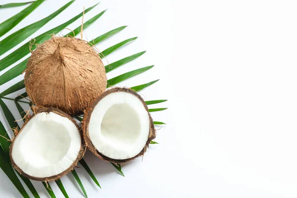 Dwa kokosowe, jednym z których split z gałązką Palmową na biały backgro — Zdjęcie stockowe