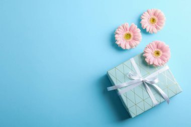 Gerbera ile renk arka plan üzerinde mevcut, metin için boşluk