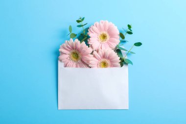 Zarf, metin için yer içinde güzel taze gerbera