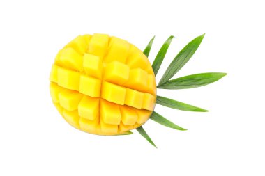 Beyaz arka plan üzerinde izole palmiye yaprağı ile taze mango, top vie