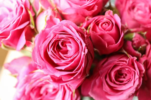 Arka plan olarak güzel taze pembe güller, closeup