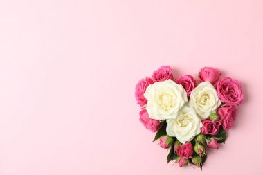 Renk arka plan üzerinde kalp şeklinde güzel güller, alan için